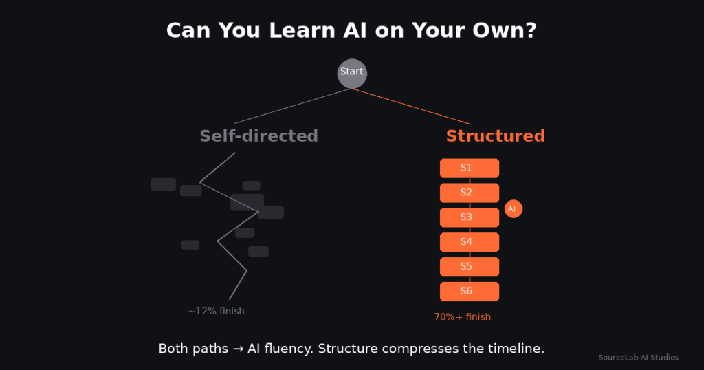 Can You Learn AI on Your Own, or Do You Need Training?